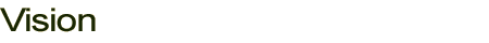 Vision
